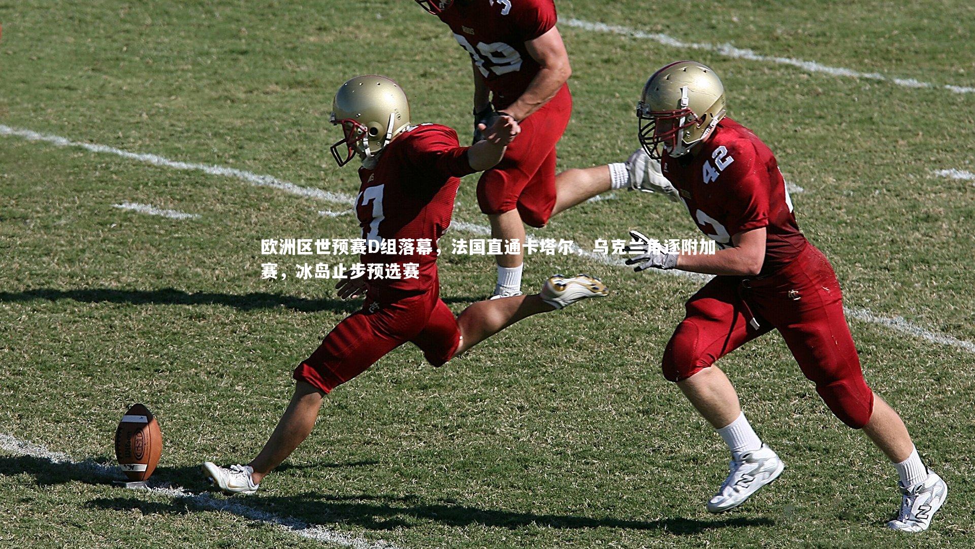 欧洲区世预赛D组落幕，法国直通卡塔尔，乌克兰角逐附加赛，冰岛止步预选赛